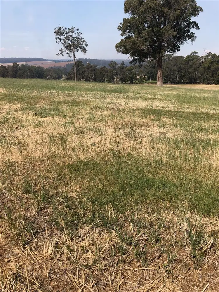 Second view of Homely rural property listing, 32 Liddelow Road, Manjimup WA 6258