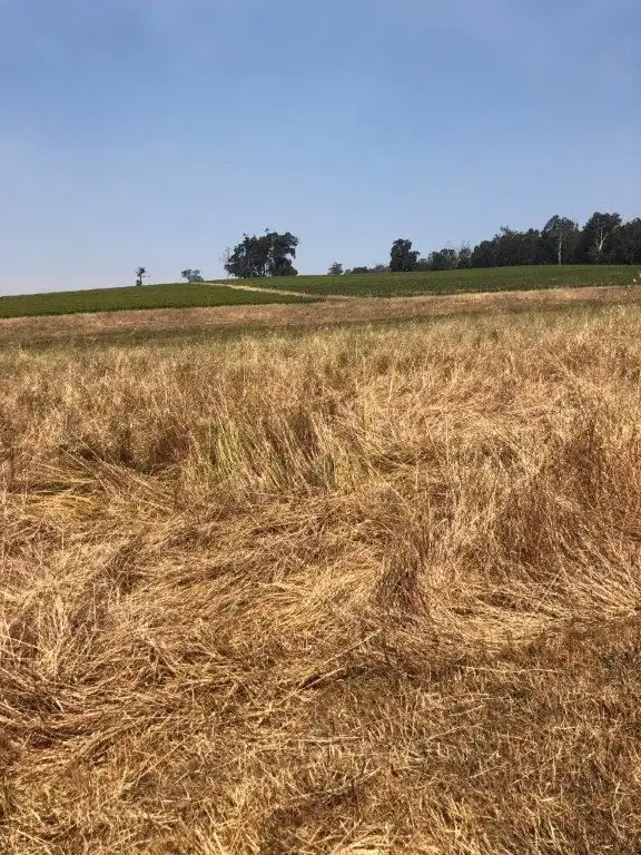 Third view of Homely rural property listing, 32 Liddelow Road, Manjimup WA 6258