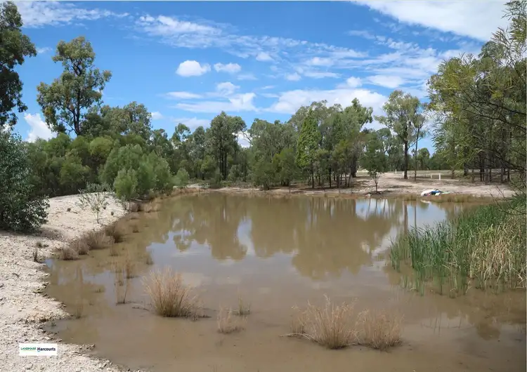 Fourth view of Homely rural property listing, 1886 Tobacco Road, Inglewood QLD 4387