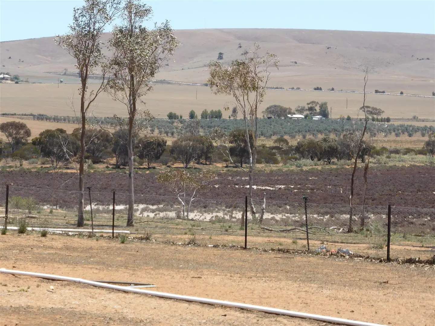 Main view of Homely rural property listing, Lot 65 Lower Templeton road, Whitwarta SA 5461
