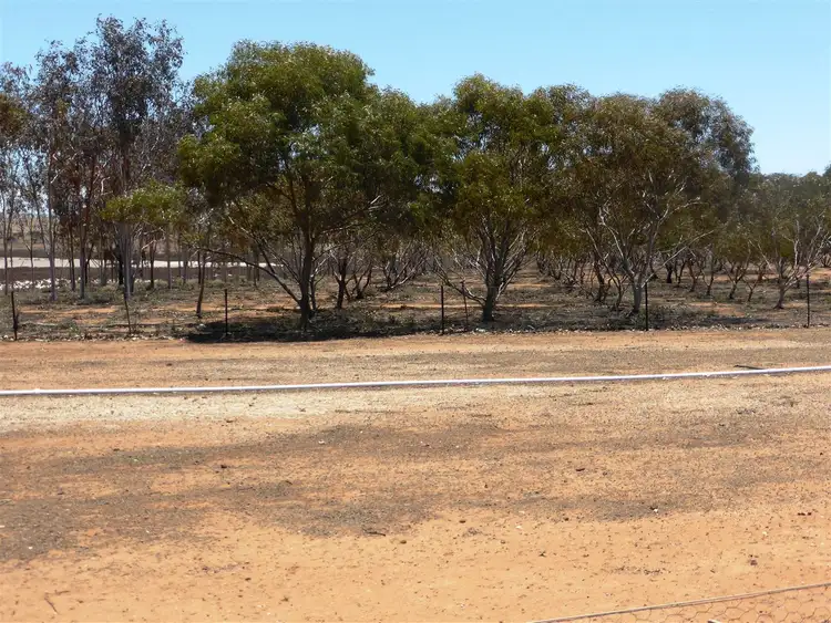 Seventh view of Homely rural property listing, Lot 65 Lower Templeton road, Whitwarta SA 5461
