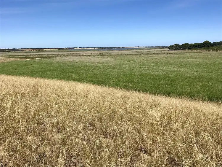 Fifth view of Homely rural property listing, Address available on request