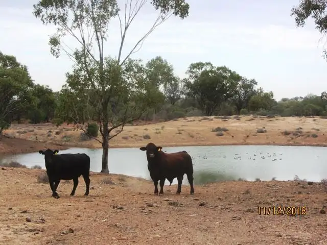 * Lindemans, Bourke NSW 2840