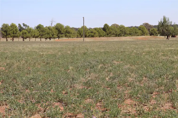 Fifth view of Homely rural property listing, Address available on request