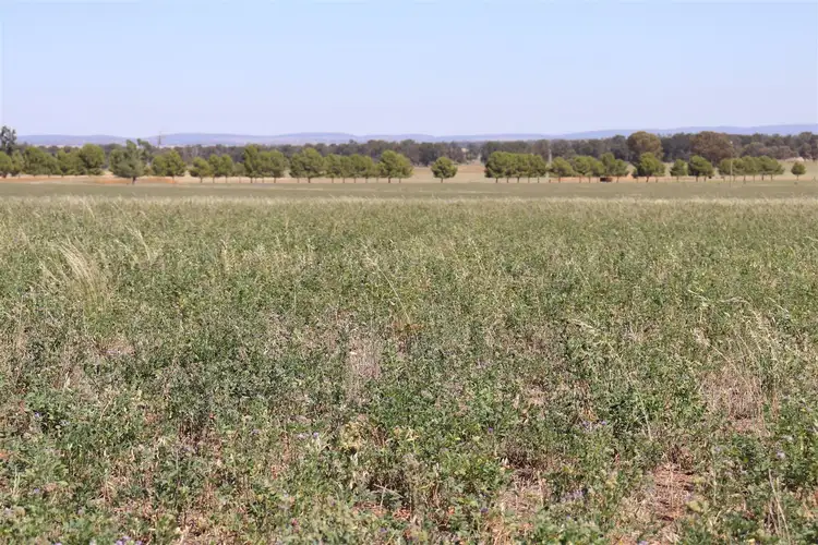 Seventh view of Homely rural property listing, Address available on request