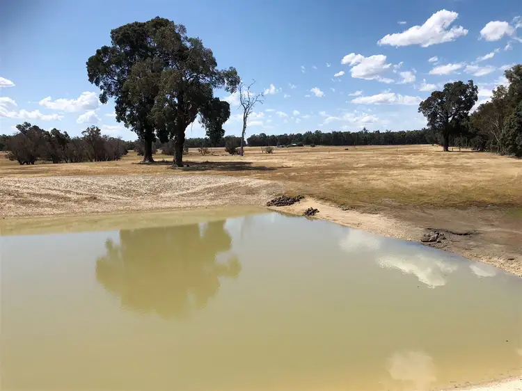 786 Don Road, Collie WA 6225