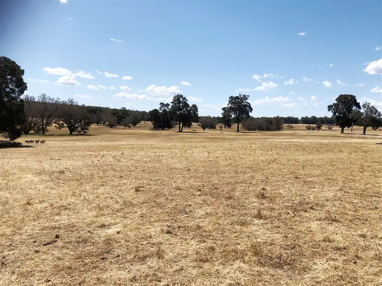 Fourth view of Homely rural property listing, 786 Don Road, Collie WA 6225