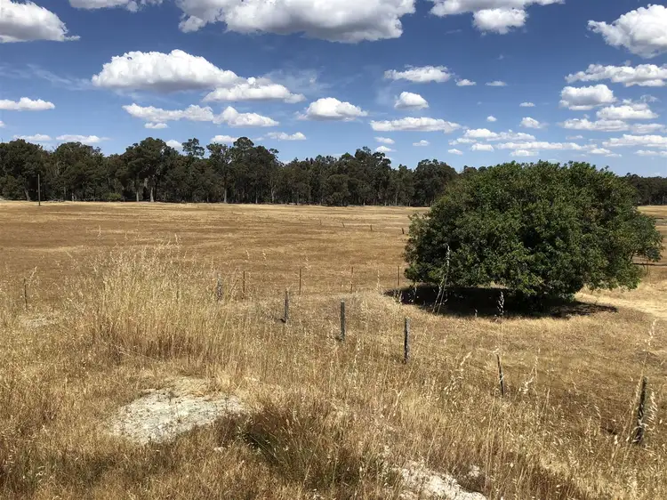 Sixth view of Homely rural property listing, 786 Don Road, Collie WA 6225