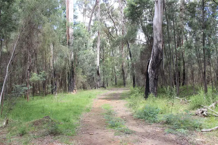 Sixth view of Homely land listing, 25 Mossman Lane, Taggerty VIC 3714