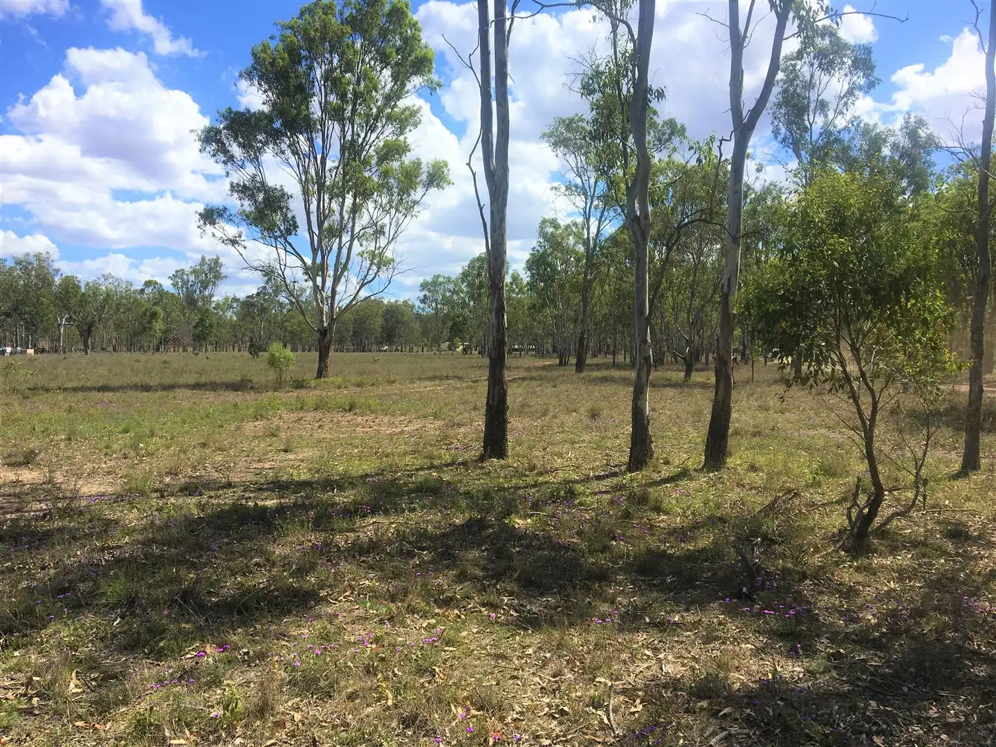 Main view of Homely rural property listing, 37 Ahern Lane, Pratten QLD 4370