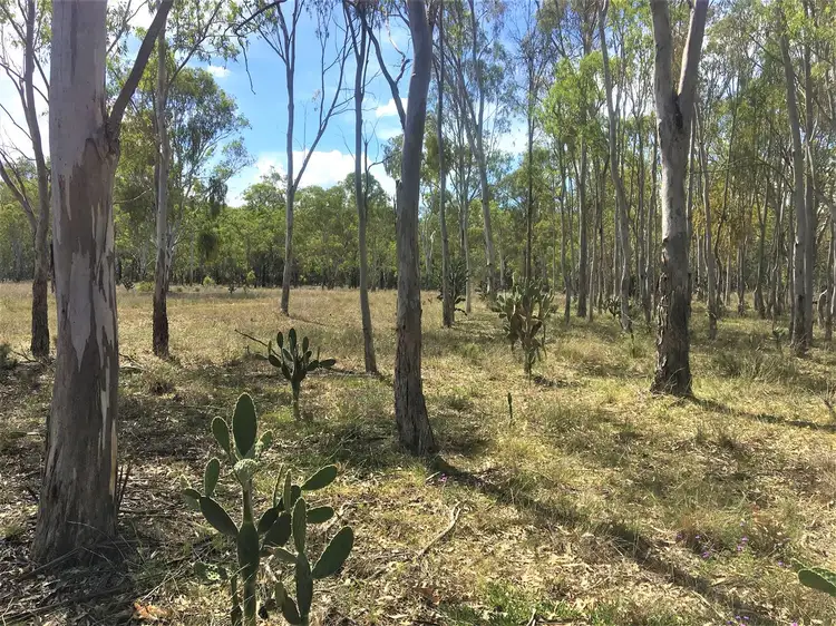 Fourth view of Homely rural property listing, 37 Ahern Lane, Pratten QLD 4370