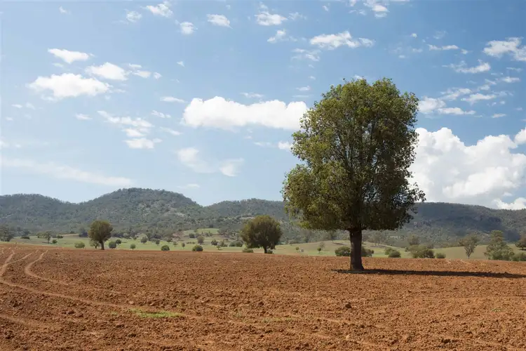 Second view of Homely rural property listing, Caloola/1581 Babbinboon Road, Somerton, Tamworth NSW 2340