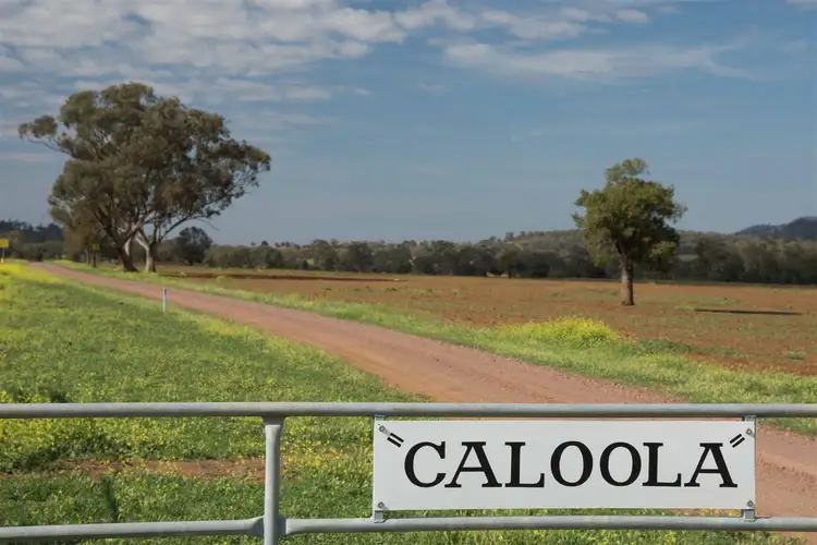 Fourth view of Homely rural property listing, Caloola/1581 Babbinboon Road, Somerton, Tamworth NSW 2340