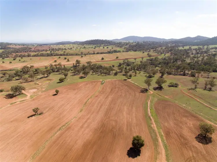 Fifth view of Homely rural property listing, Caloola/1581 Babbinboon Road, Somerton, Tamworth NSW 2340