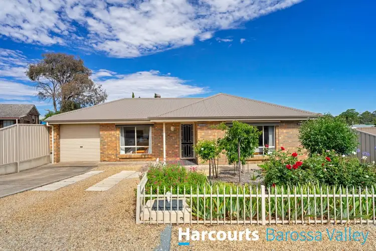 Main view of Homely house listing, 14b Vine st, Nuriootpa SA 5355