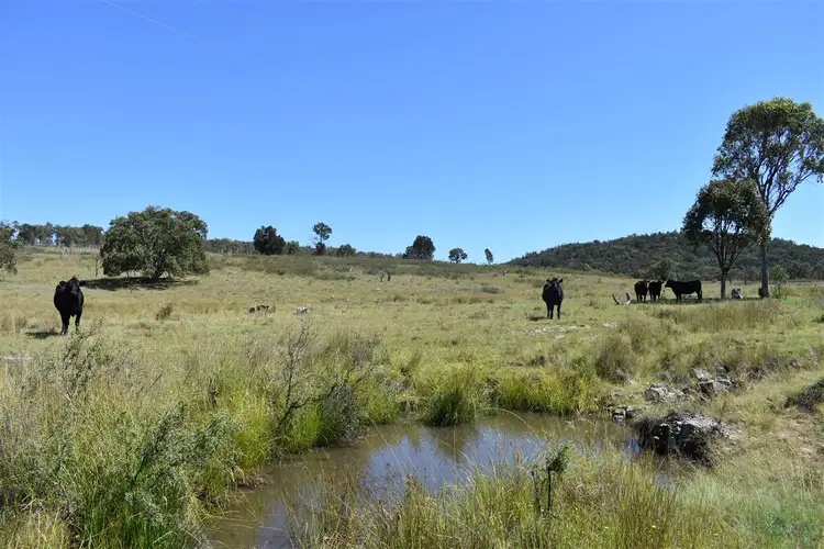 214 Tarban Road, Tenterfield NSW 2372