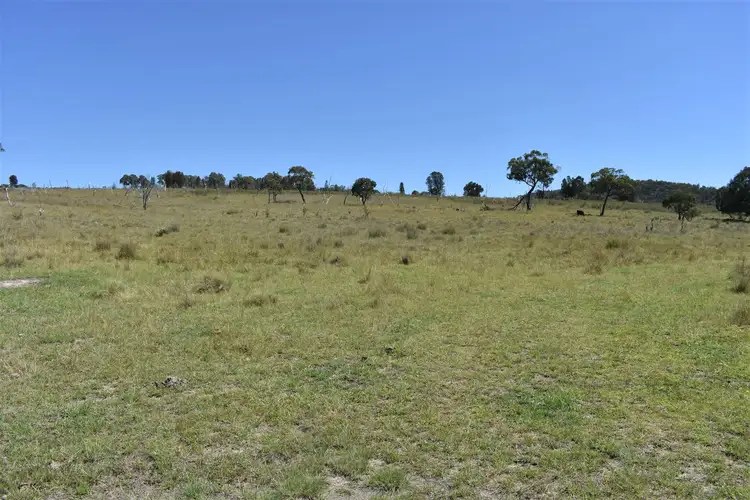 Second view of Homely rural property listing, 214 Tarban Road, Tenterfield NSW 2372
