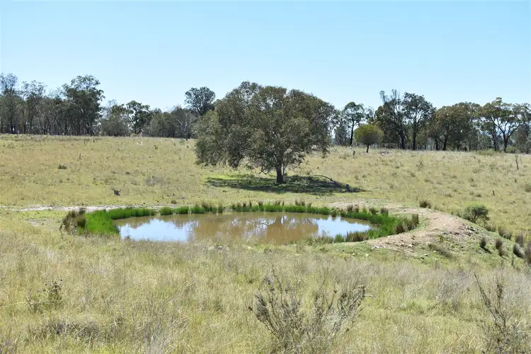 Third view of Homely rural property listing, 214 Tarban Road, Tenterfield NSW 2372