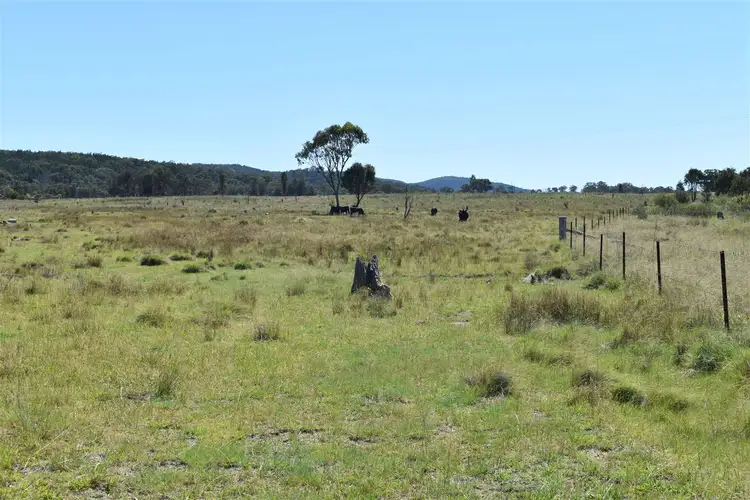 Fourth view of Homely rural property listing, 214 Tarban Road, Tenterfield NSW 2372