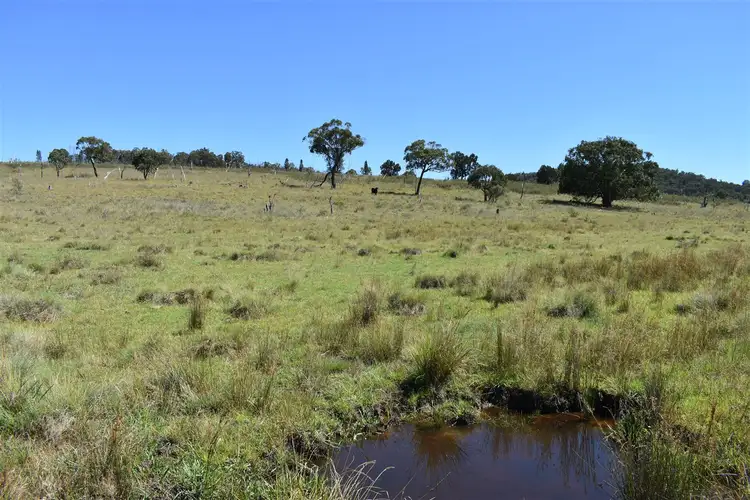 Fifth view of Homely rural property listing, 214 Tarban Road, Tenterfield NSW 2372