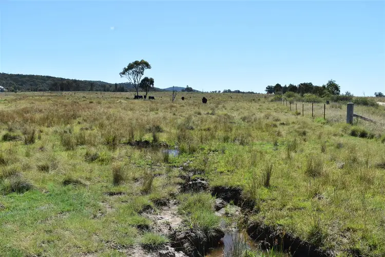 Sixth view of Homely rural property listing, 214 Tarban Road, Tenterfield NSW 2372