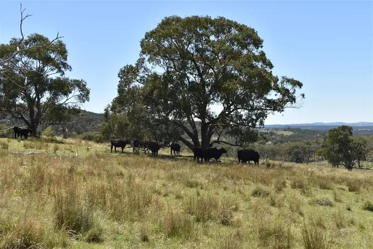 Seventh view of Homely rural property listing, 214 Tarban Road, Tenterfield NSW 2372