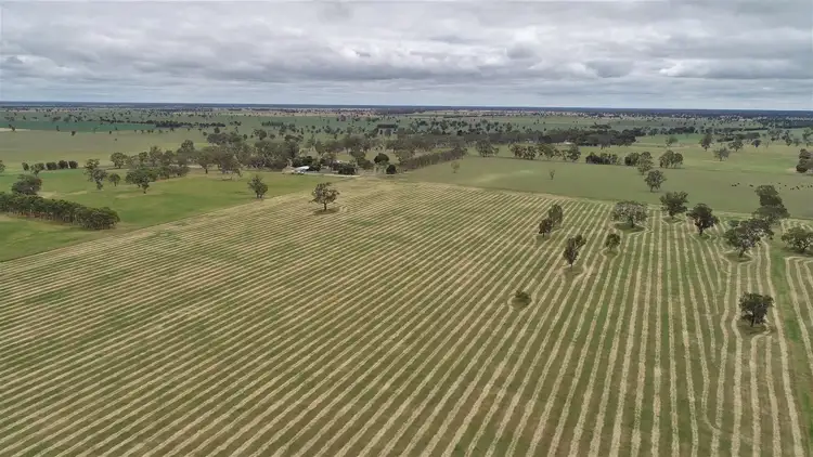 Seventh view of Homely rural property listing, Address available on request