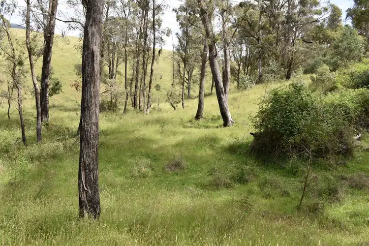 Sixth view of Homely rural property listing, 210 Tablelands Road, Benambra VIC 3900