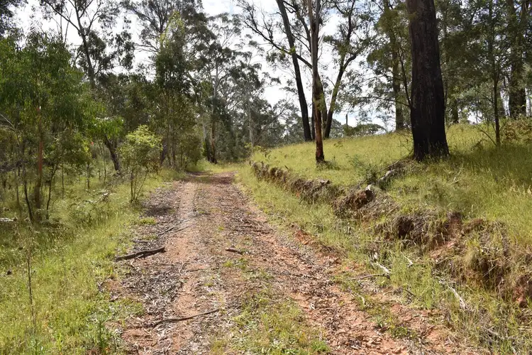 Seventh view of Homely rural property listing, 210 Tablelands Road, Benambra VIC 3900