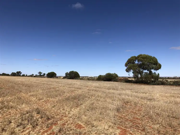 Second view of Homely rural property listing, Address available on request