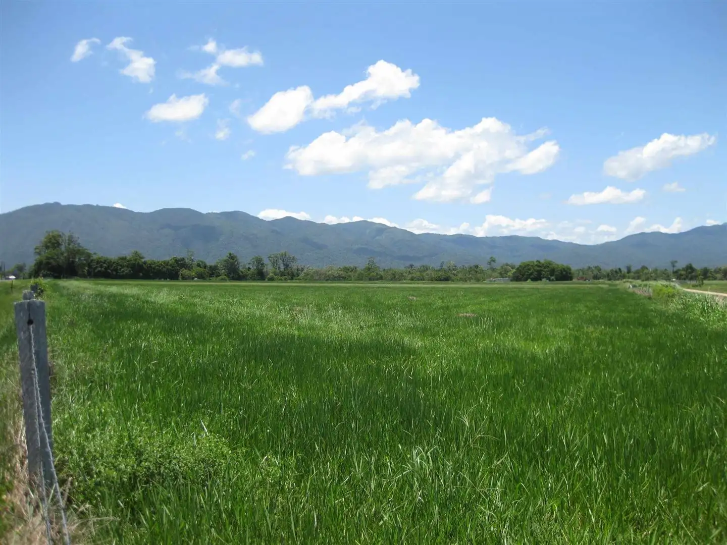 Main view of Homely rural property listing, 250 Tully-Mission Beach Road, Merryburn QLD 4854