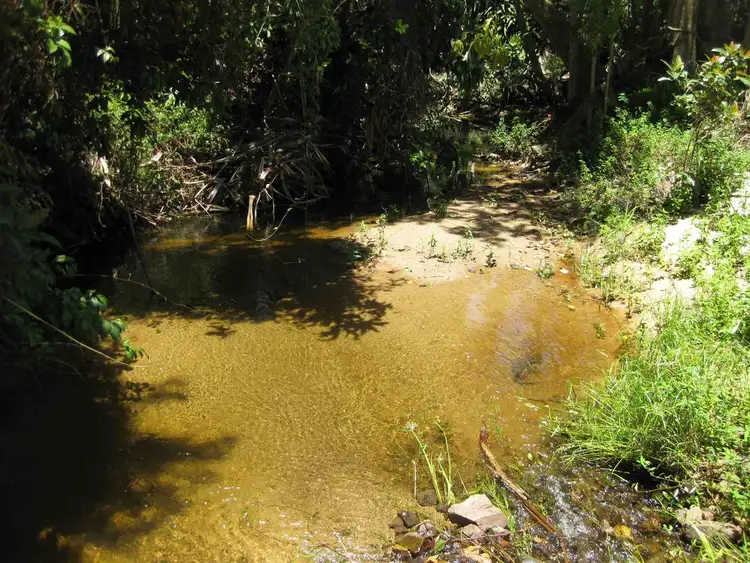 Fourth view of Homely rural property listing, 250 Tully-Mission Beach Road, Merryburn QLD 4854