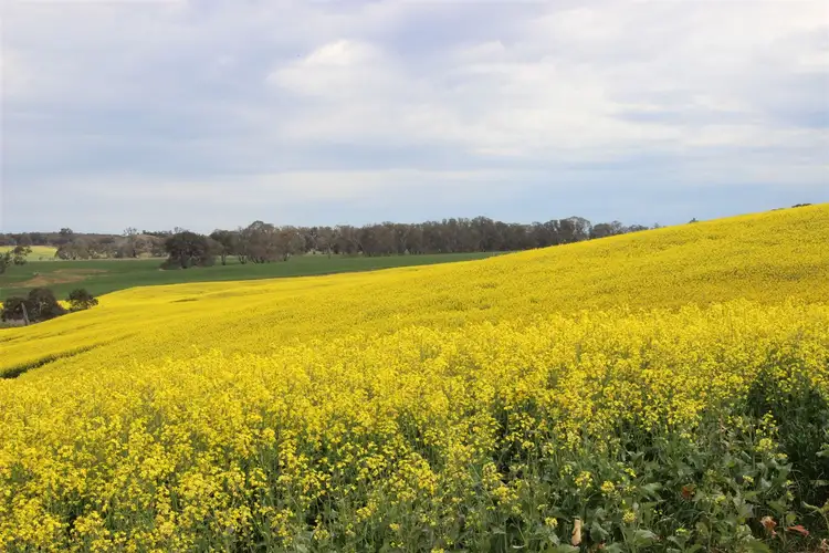 Main view of Homely rural property listing, . Hyde Park Browns Road & Sunraysia Highway, Lexton VIC 3352