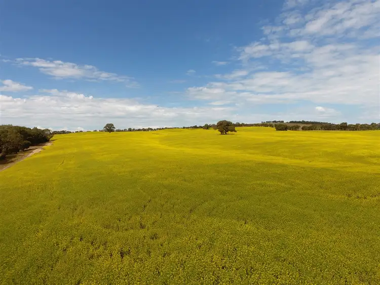Third view of Homely rural property listing, . Hyde Park Browns Road & Sunraysia Highway, Lexton VIC 3352