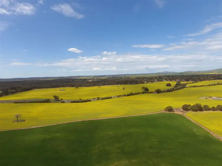 Fifth view of Homely rural property listing, . Hyde Park Browns Road & Sunraysia Highway, Lexton VIC 3352