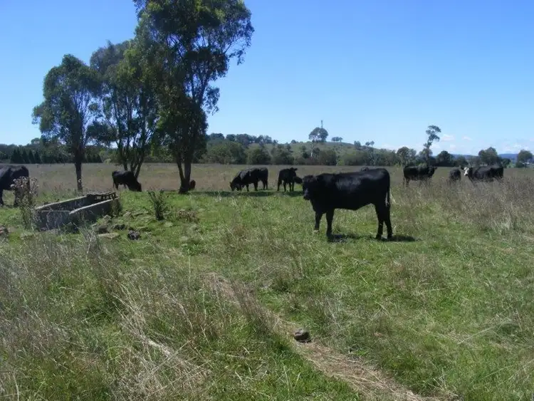 Fourth view of Homely rural property listing, . Caerleon Road, Glen Innes NSW 2370