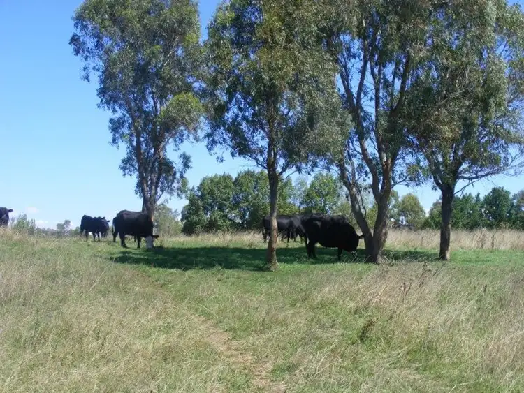 Sixth view of Homely rural property listing, . Caerleon Road, Glen Innes NSW 2370