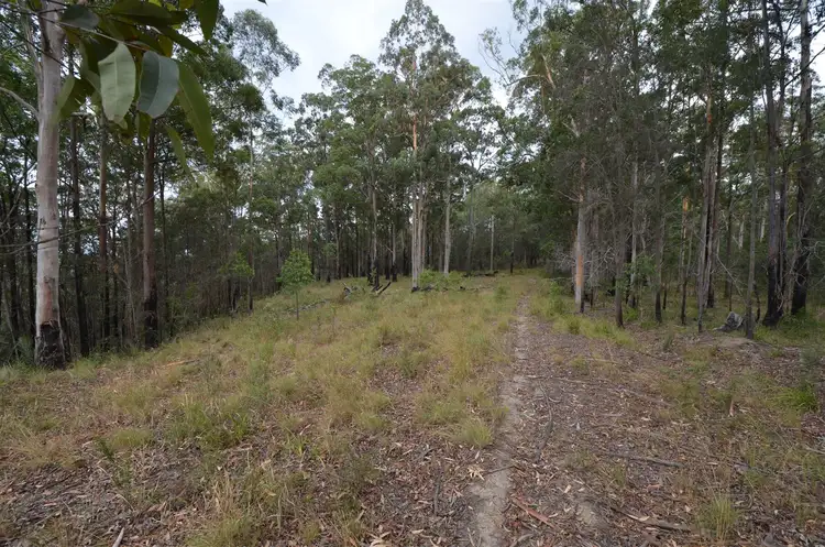 Fifth view of Homely rural property listing, Lot 198 Cold Nob Road, Byabarra NSW 2446