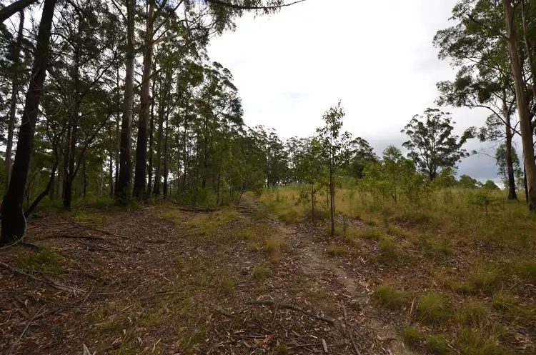 Sixth view of Homely rural property listing, Lot 198 Cold Nob Road, Byabarra NSW 2446