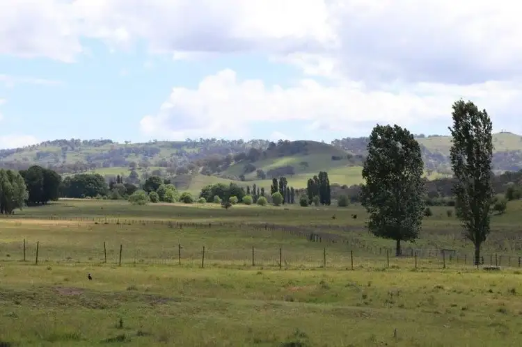 'Camlea'/3214 Mount Mitchell Road, Glencoe NSW 2365