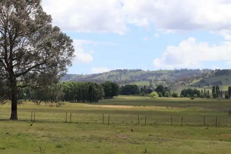 Third view of Homely rural property listing, 'Camlea'/3214 Mount Mitchell Road, Glencoe NSW 2365