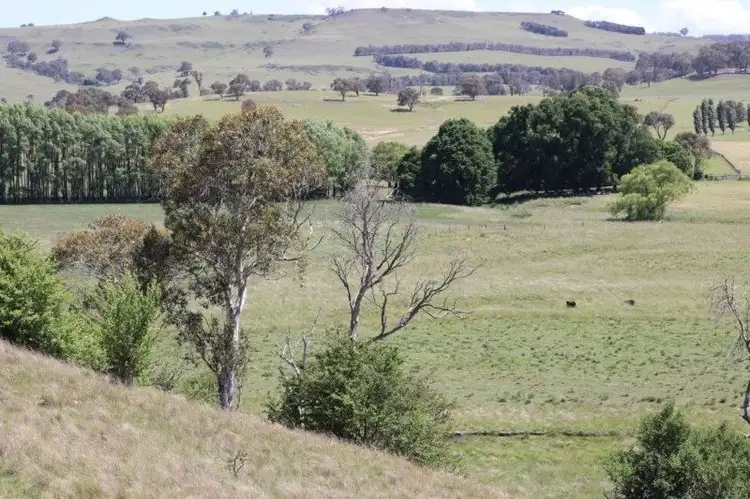 Seventh view of Homely rural property listing, 'Camlea'/3214 Mount Mitchell Road, Glencoe NSW 2365