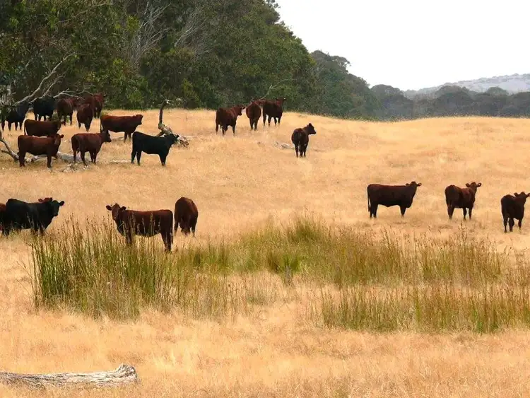 * Merivale Rd, Esperance WA 6450