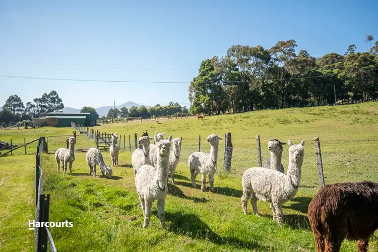 Sixth view of Homely house listing, 469 Crabtree Road, Crabtree TAS 7109
