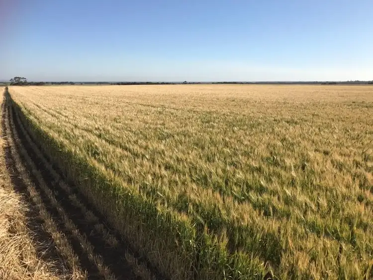 Main view of Homely rural property listing, . "Cliffs", Roseworthy SA 5371
