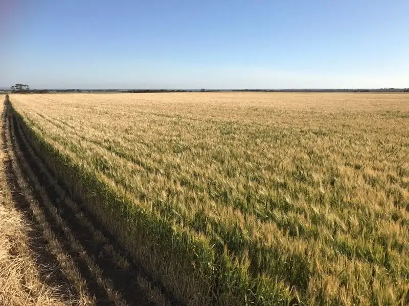 Main view of Homely rural property listing, . "Cliffs", Roseworthy SA 5371