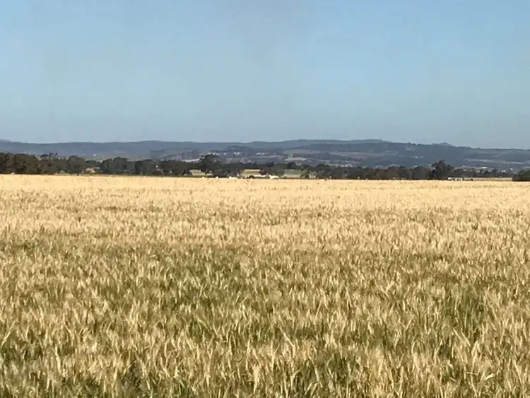 Second view of Homely rural property listing, . "Cliffs", Roseworthy SA 5371