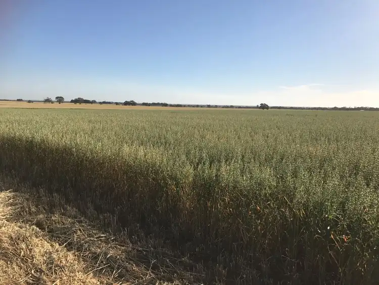Third view of Homely rural property listing, . "Cliffs", Roseworthy SA 5371