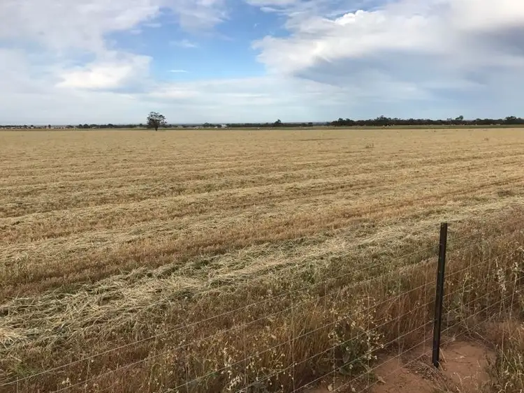 Fourth view of Homely rural property listing, . "Cliffs", Roseworthy SA 5371