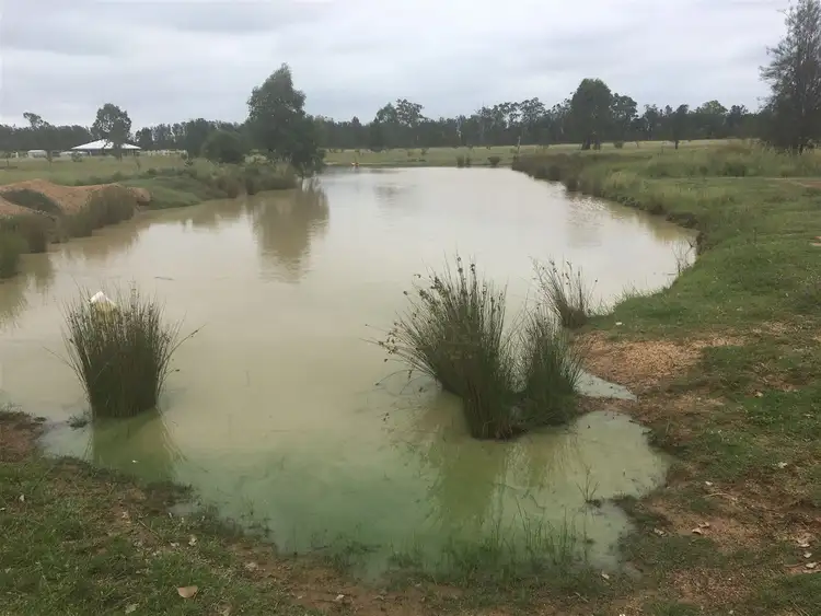 Sixth view of Homely rural property listing, 3442 Milmerran Leyburn Road, Leyburn QLD 4365